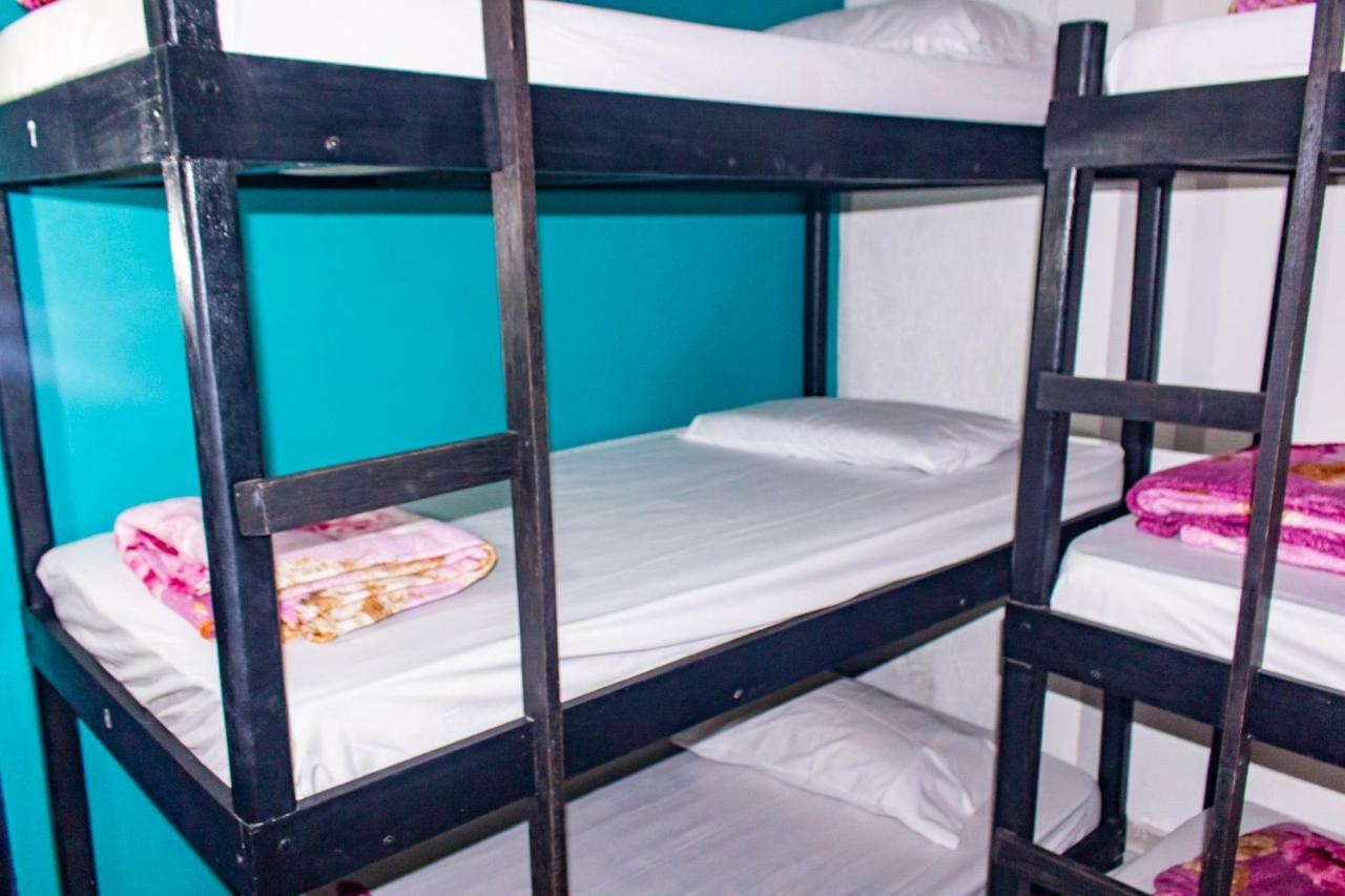 Nativo Hostel 阿拉亚尔-杜卡布 外观 照片