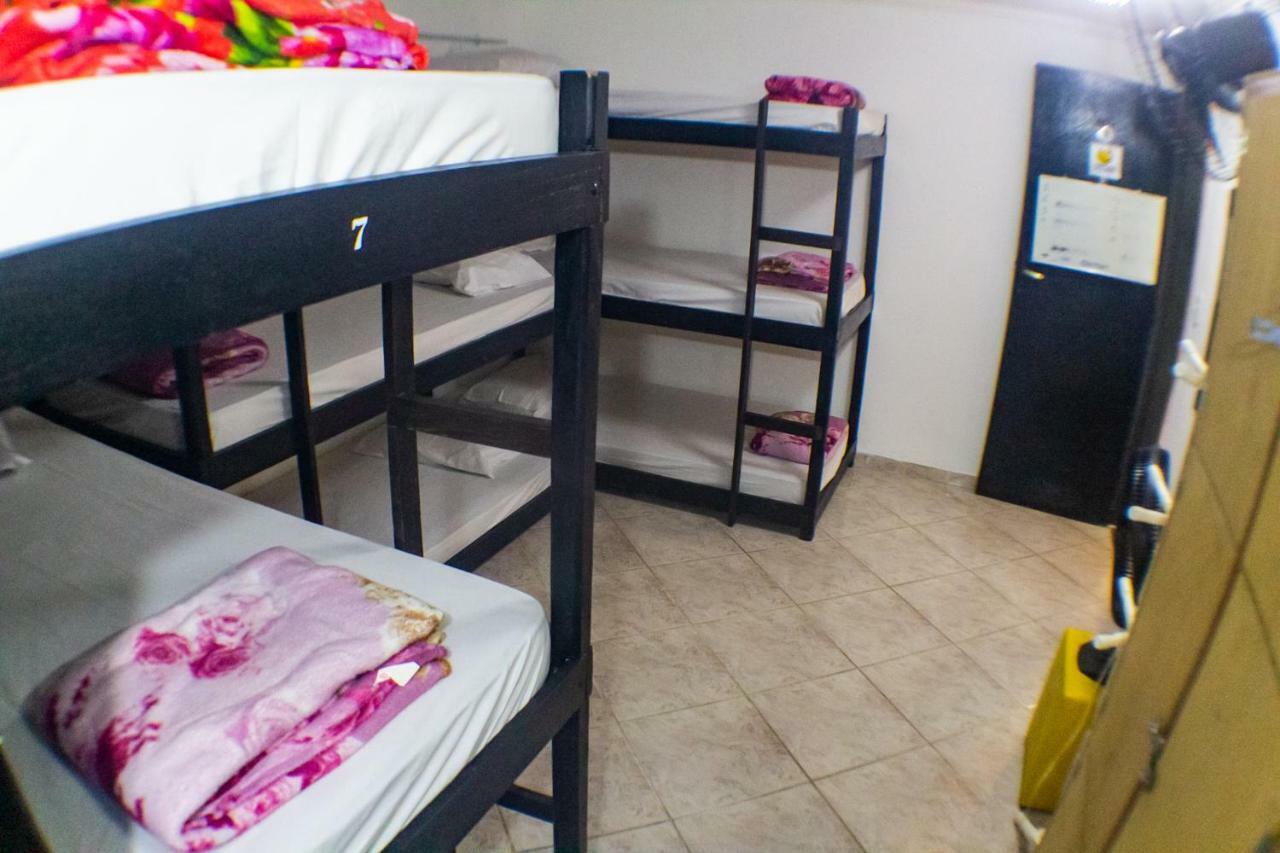 Nativo Hostel 阿拉亚尔-杜卡布 外观 照片